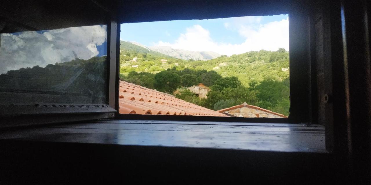 Villaggio Dei Balocchi 卡斯特布奥诺 外观 照片