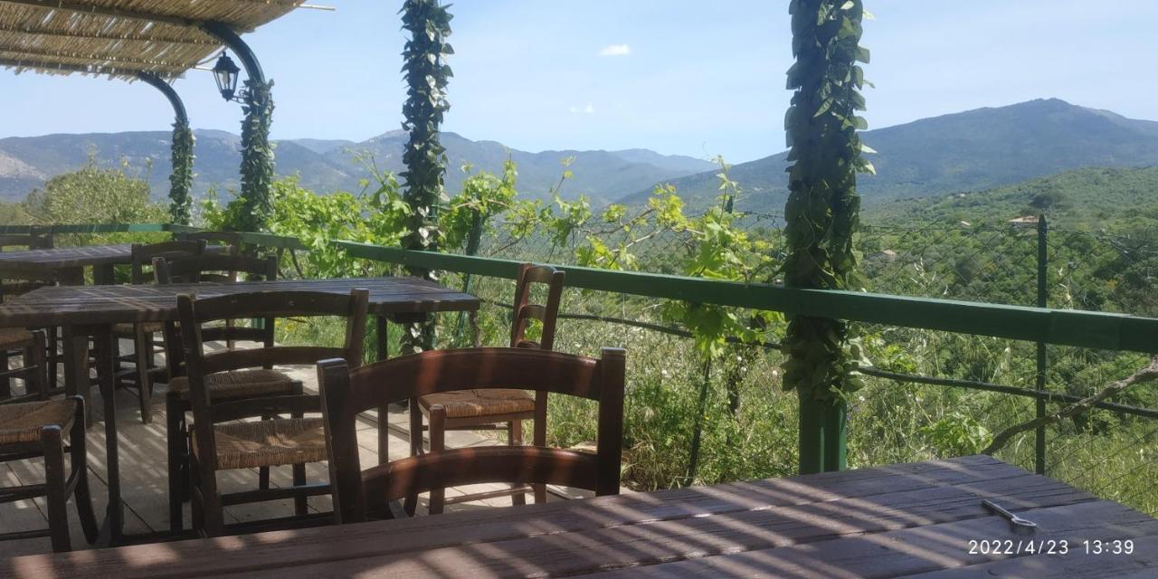 Villaggio Dei Balocchi 卡斯特布奥诺 外观 照片