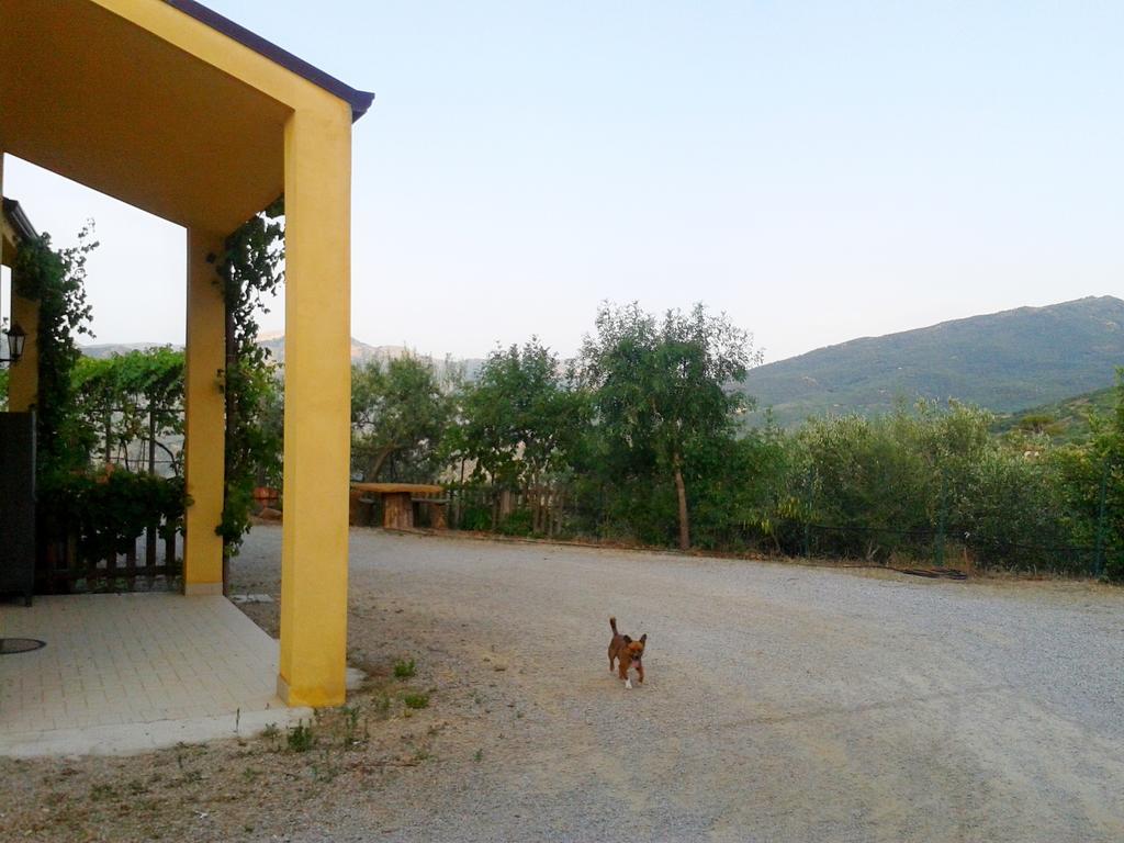 Villaggio Dei Balocchi 卡斯特布奥诺 外观 照片