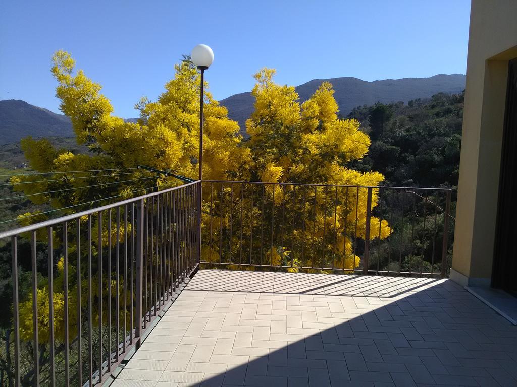 Villaggio Dei Balocchi 卡斯特布奥诺 外观 照片