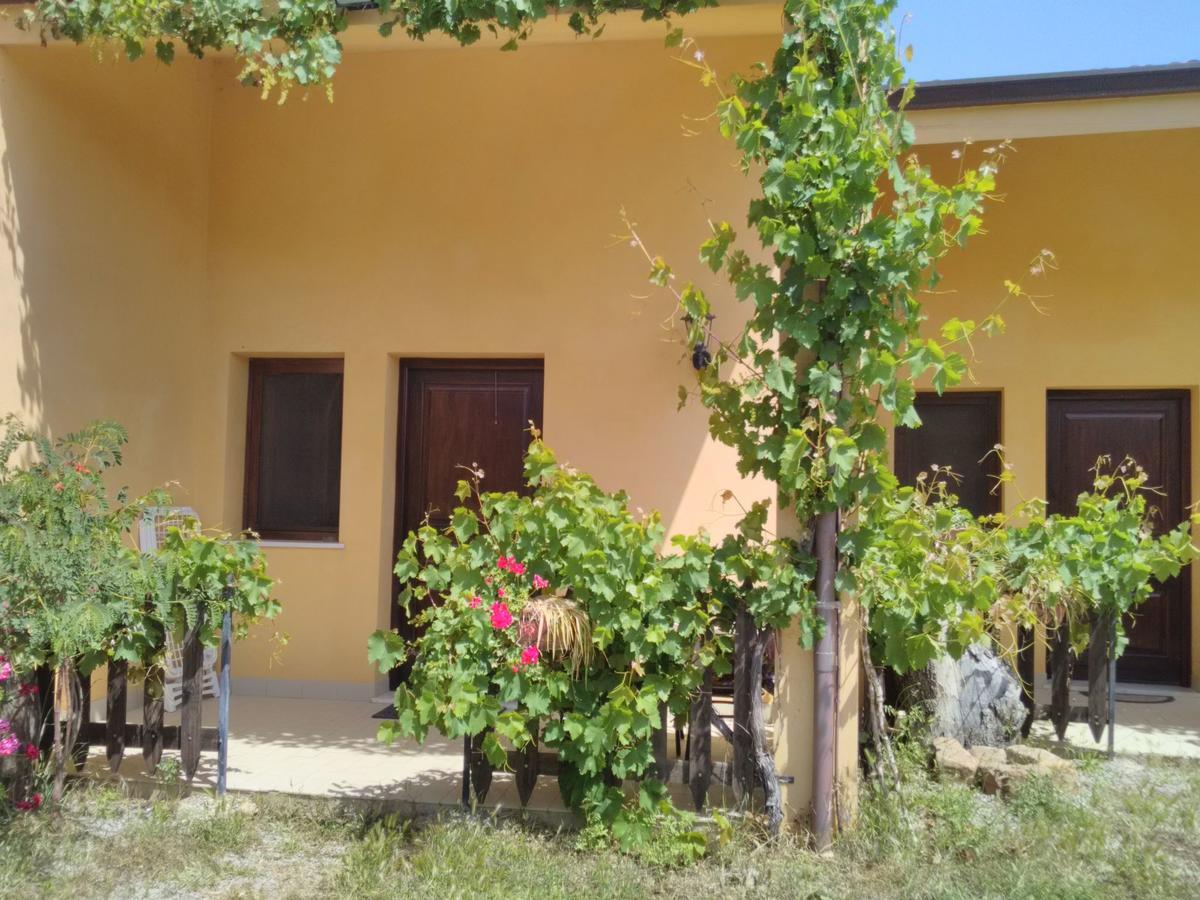 Villaggio Dei Balocchi 卡斯特布奥诺 客房 照片