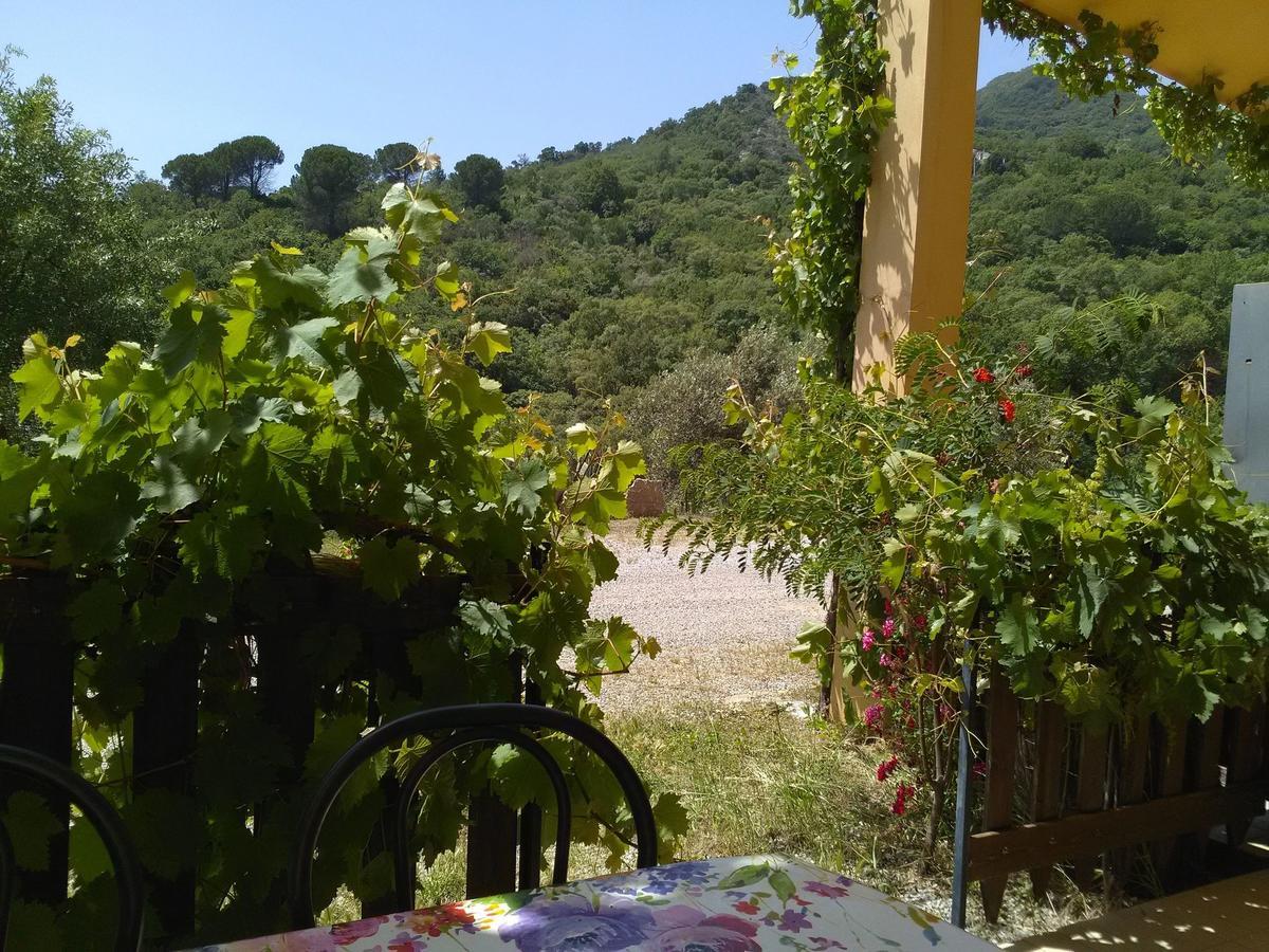 Villaggio Dei Balocchi 卡斯特布奥诺 外观 照片
