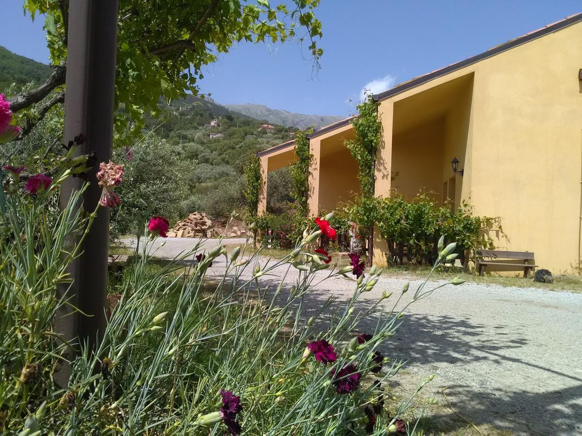 Villaggio Dei Balocchi 卡斯特布奥诺 外观 照片