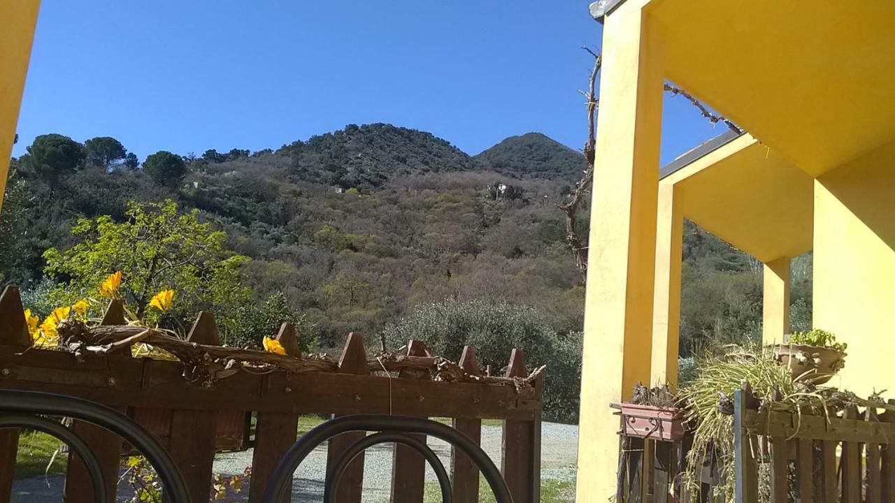 Villaggio Dei Balocchi 卡斯特布奥诺 外观 照片