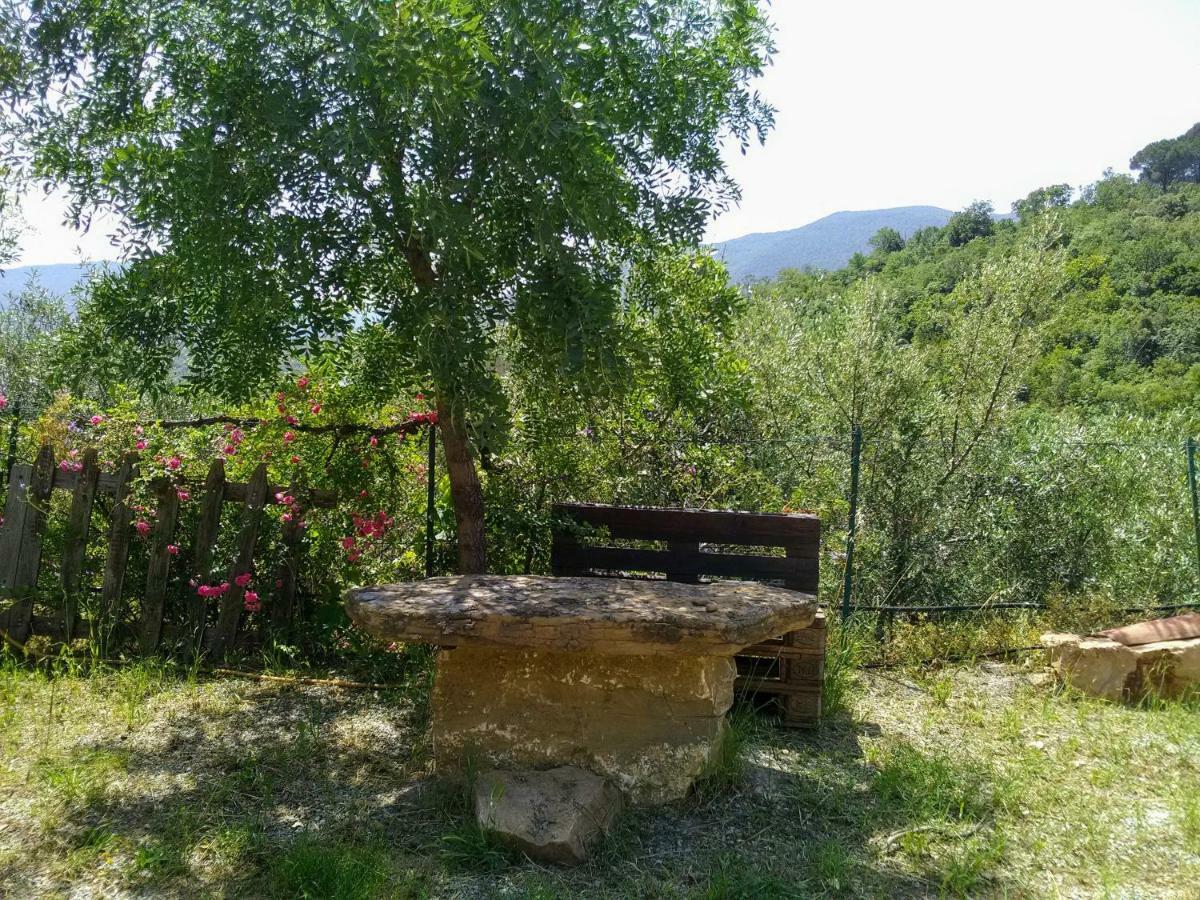 Villaggio Dei Balocchi 卡斯特布奥诺 外观 照片
