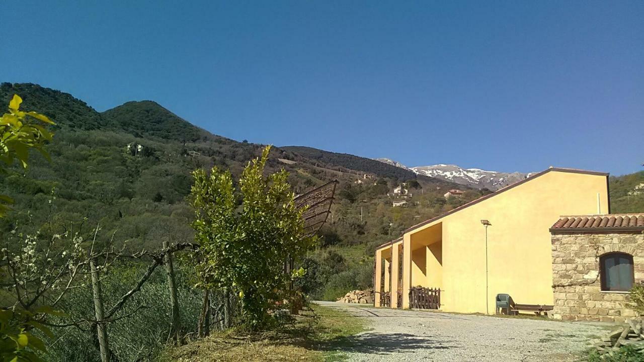 Villaggio Dei Balocchi 卡斯特布奥诺 外观 照片