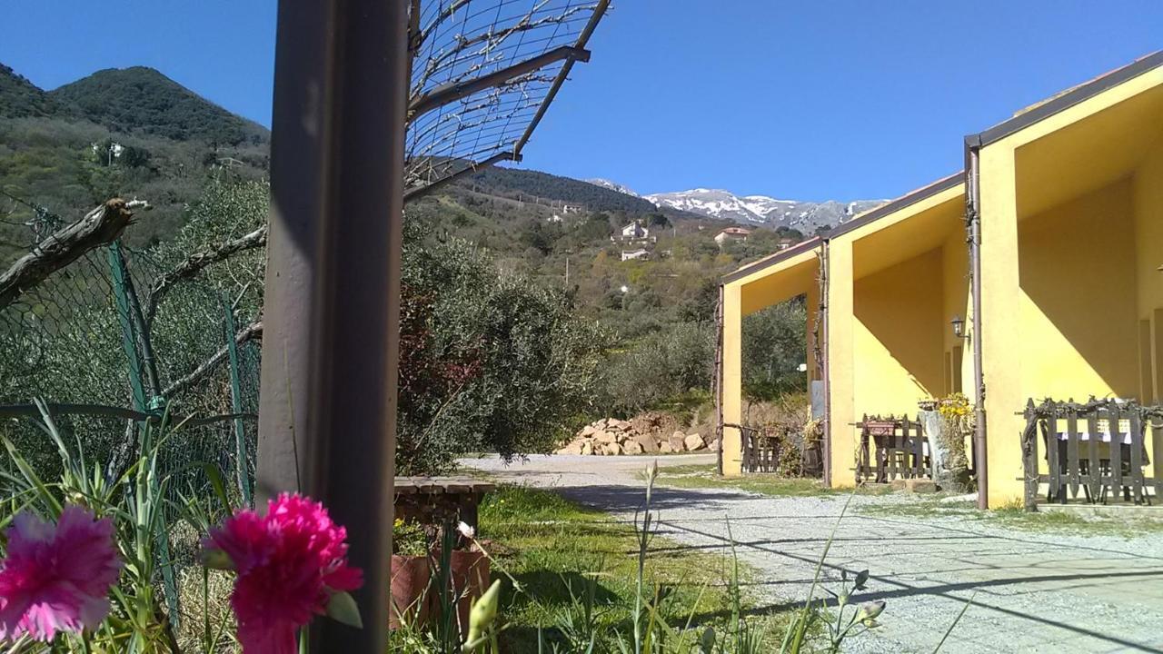 Villaggio Dei Balocchi 卡斯特布奥诺 外观 照片