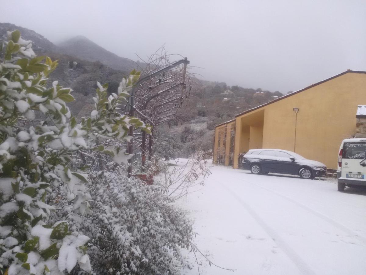Villaggio Dei Balocchi 卡斯特布奥诺 外观 照片